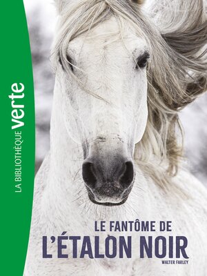 cover image of Le fantôme de l'Étalon Noir